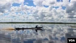 FILE - Man in klotok boat navigates through peat swamp near Lake Sambujur, North Hulu Sungai, South Kalimantan, Indonesia. (B. Hope for VOA)