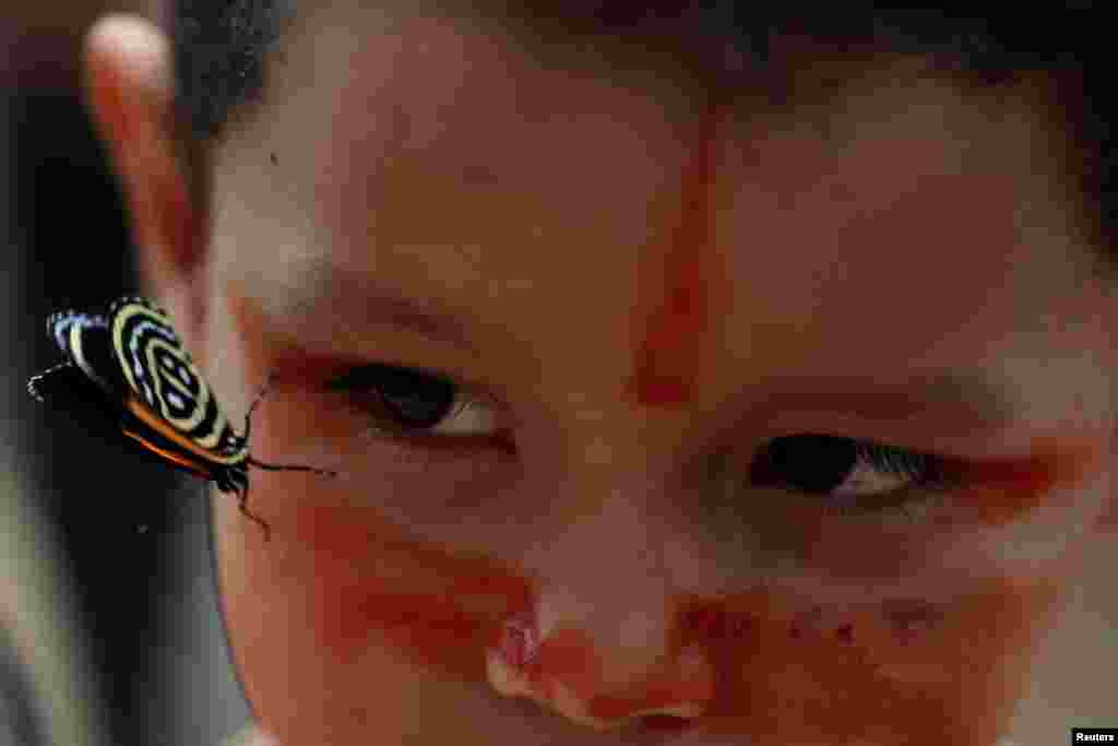 Un niño indígena de la tribu Mura intenta buscar una mariposa en el pueblo de Itaparana, cerca de Humaita, estado de Amazonas, Brasil. Foto del 20 de agosto de 2019. 