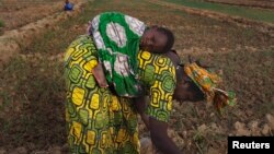 FILE - A woman, with a child on her back, in seen planting beans on a farm in Heremakono, Mali.