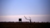 Australia's Queensland Tackles Climate-Driven Disease, Deaths