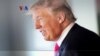 Apa Kata Diaspora Indonesia atas Pelantikan Donald Trump?
