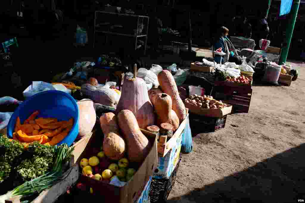 Agriculture remains the backbone of Nagorno-Karabakh's economy. But old land mines often block farmers from the best fields. (U. Filimonova/VOA)