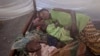 Malaria Re-Emerges in Cameroon