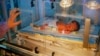 FILE - Ahed Hussein, 18, a Syrian refugee who fled the war in Syria, puts her hand on the incubator where her premature newborn daughter rests in Chtaura's hospital in Chtaura, Lebanon, March 11, 2014. Only one of her two twin premature newborn daughters survived the birth. 