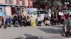 Ankaranın Mamak bələdiyyəsi qarşısında heyvan haqları müdafiəçilərinin aksiyası baş tutub