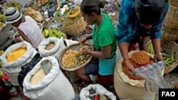 FAO, IFAD and WFP release new State of Food Security in the World report. 805-million people are chronically hungry. (Credit: FAO/Walter Astrada)