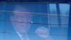 Trump Arrives at Hearing on Whether to Dismiss Classified Documents Case