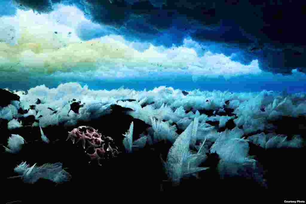 Below the Ross Sea. (John B. Weller)