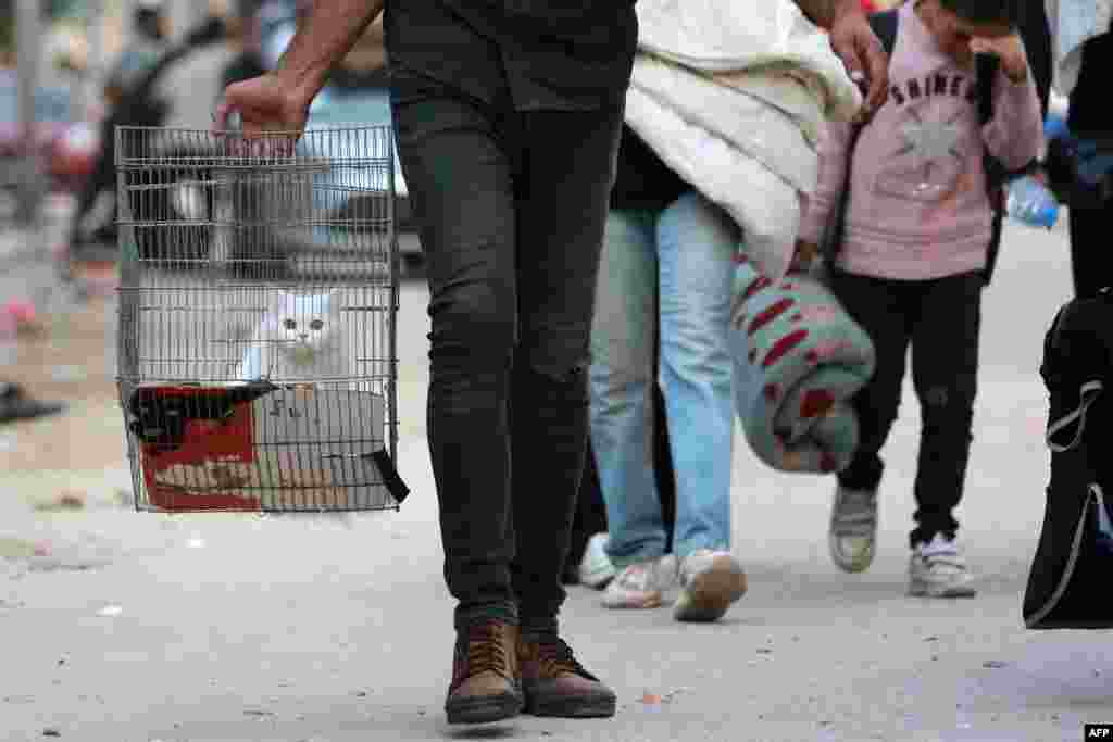 Un hombre lleva a su gato en una jaula mientras las familias desplazadas que huyen del norte de Gaza llegan a Nuseirat, en el centro de la Franja, el 5 de octubre de 2024.