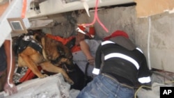 Rescue workers and a trained dog search for children trapped inside the collapsed Enrique Rebsamen school in Mexico City, Sept. 19, 2017.