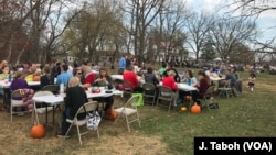 Visitors enjoy a vegan pot-luck picnic with the free-roaming turkeys at Poplar Spring Animal Sanctuary in Poolesville, Maryland.