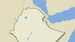 በቤኒሻንጉል ጉምዝ የሚገኙ ባለሃብቶች ሁኔታ