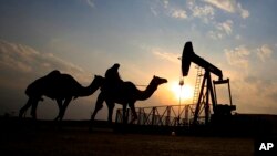 OPEC Oil Prices
