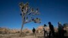 National Parks Deal with Damage After Government Shutdown
