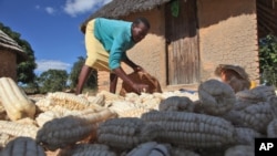 FILE - The U.N. Food and Agriculture Organization (FAO) says chronic hunger remains highest in sub-Saharan Africa, where one in four people are malnourished. 