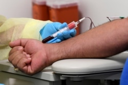 University of Miami Miller School of Medicine phlebotomist Mayra Fernandez takes a blood sample from study participant Julio Li, Sept. 2, 2020, in Miami, Florida. Miami is one of 89 cities around the U.S. that's testing the Moderna COVID-19 vaccine.
