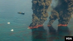 Las tareas de limpieza del Golfo de México siguieron diferentes estrategias.