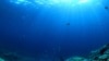 Scientists Create New Maps of Ocean Floor