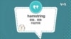 学个词 - hamstring