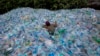 A worker uses a rope to move through a pile of empty plastic bottles at a recycling workshop in Mumbai, June 5, 2014. Plastic bottles are one of the everyday items that contain endocrine-disruptors.
