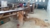 UN Rights Office Condemns 'Merciless' Attack on Cameroon School