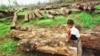 Indigenous Groups File Complaint to World Bank Over Forest Destruction