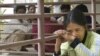 Deal Imminent To Bring Asylum Seekers To Cambodia
