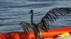Obama, Gulf Coast Residents Mark Oil Spill Anniversary