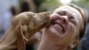 Dogs Remember Like Humans