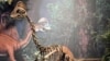 Remains of Bird-Like Dinosaur Species Identified in North America