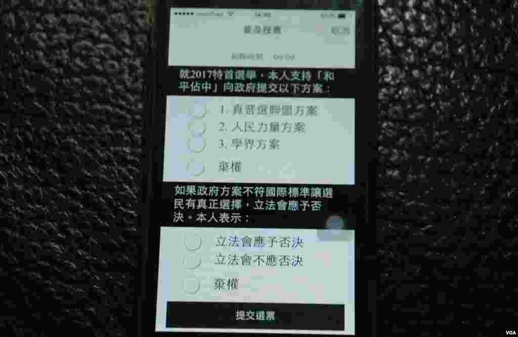 佔中全民投票有兩個選項,包括支持佔中運動向港府提交哪一個政改方案,以及一個有關政改立場原則的表決題目