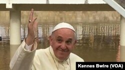 Papa Francis