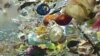 Colombia, Uganda Find Alternative to Plastic Waste