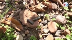 Reporte: 25 Periodistas asesinados en 2019