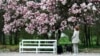 Is Climate Change Making You Sneeze More?