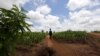 Mozambique : près de 10.000 réfugiés au Malawi fuient les violences 