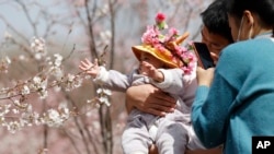 པེ་ཅིང་དུ་སྐྱེས་པ་ཞིག་གིས་སེའུ་མེ་ཏོག་མདུན་ནས་ཕྲུ་གུར་པར་ལེན་བཞིན་པ།