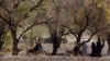 16x9 Image