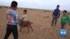 The Naadam Festival of Mongolia: Tradition Corrupted by Business