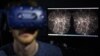 New Map of the Universe Lets Users ‘Travel Through Space and Time’