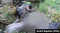 Camponeses de Sofala encontraram cadáveres já em decomposição 