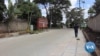 Kenya Tests Herbal Treatment