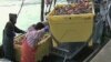 Namibe: Empresários polacos querem investir nas pescas e agricultura