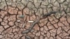 "Ecoansiedad", trastorno mental que sufren jóvenes atemorizados por cambio climático 