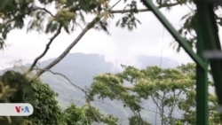 La historia de ‘un loco alemán’ que se enamoró de Venezuela