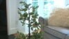 Staging Houses Speeds Sales