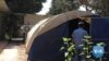 A Syrian Internally Displaced Health Worker Continues Helping Others Inside Refugee Camp 