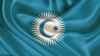 Turkiy kengash huquq bobida qachon shijoat ko’rsatadi?