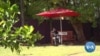 Stressed by COVID, Zimbabweans Turn to 'Friendship Bench' for Solace 