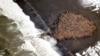 Plants, Animals Affected as Alaska Records Hottest Month